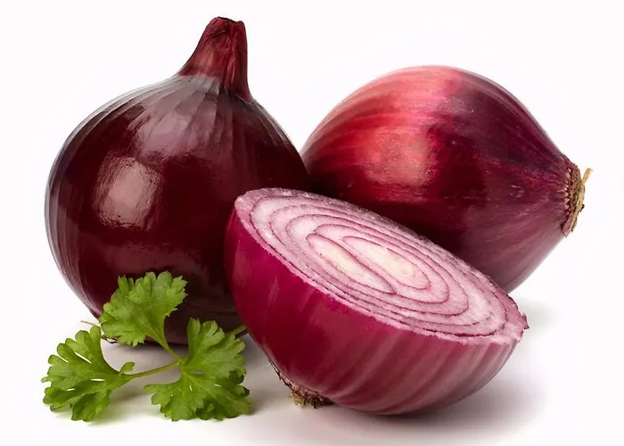 Szálloda L'ancora 3*