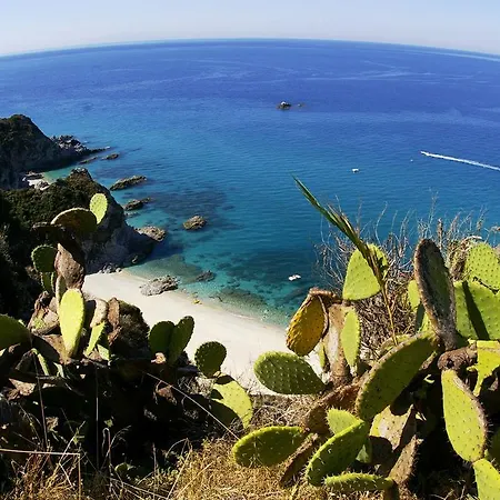 L'ancora Ex Incoronato Capo Vaticano